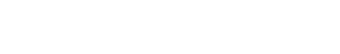 WSupport Logo